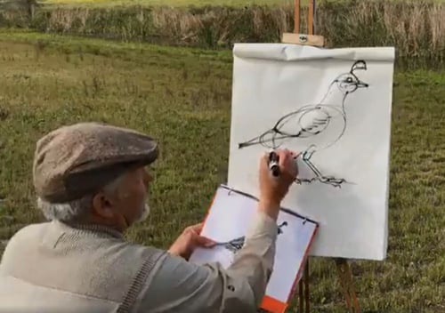 bird drawing - 1-1